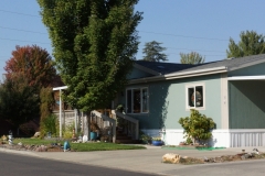 Blue-Greem House