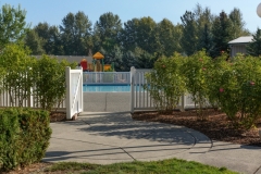 Pool Entryway & Jungle Gym